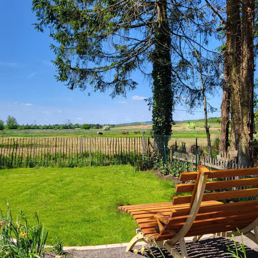 Komfort Ferienwohnungen Mit Wellness-Garten - Gaestehaus Am Bachlauf - Losheim Am See Eksteriør bilde
