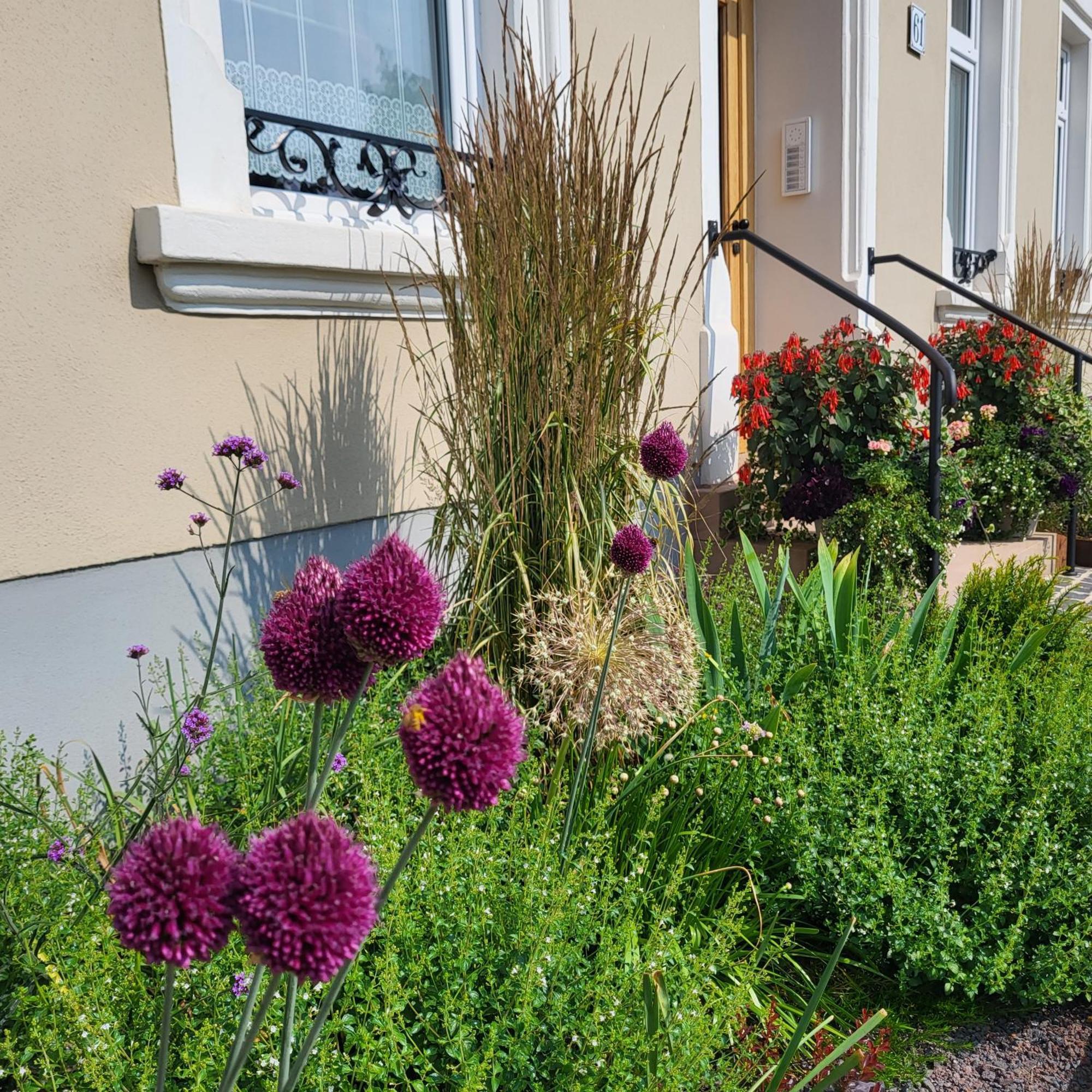 Komfort Ferienwohnungen Mit Wellness-Garten - Gaestehaus Am Bachlauf - Losheim Am See Eksteriør bilde