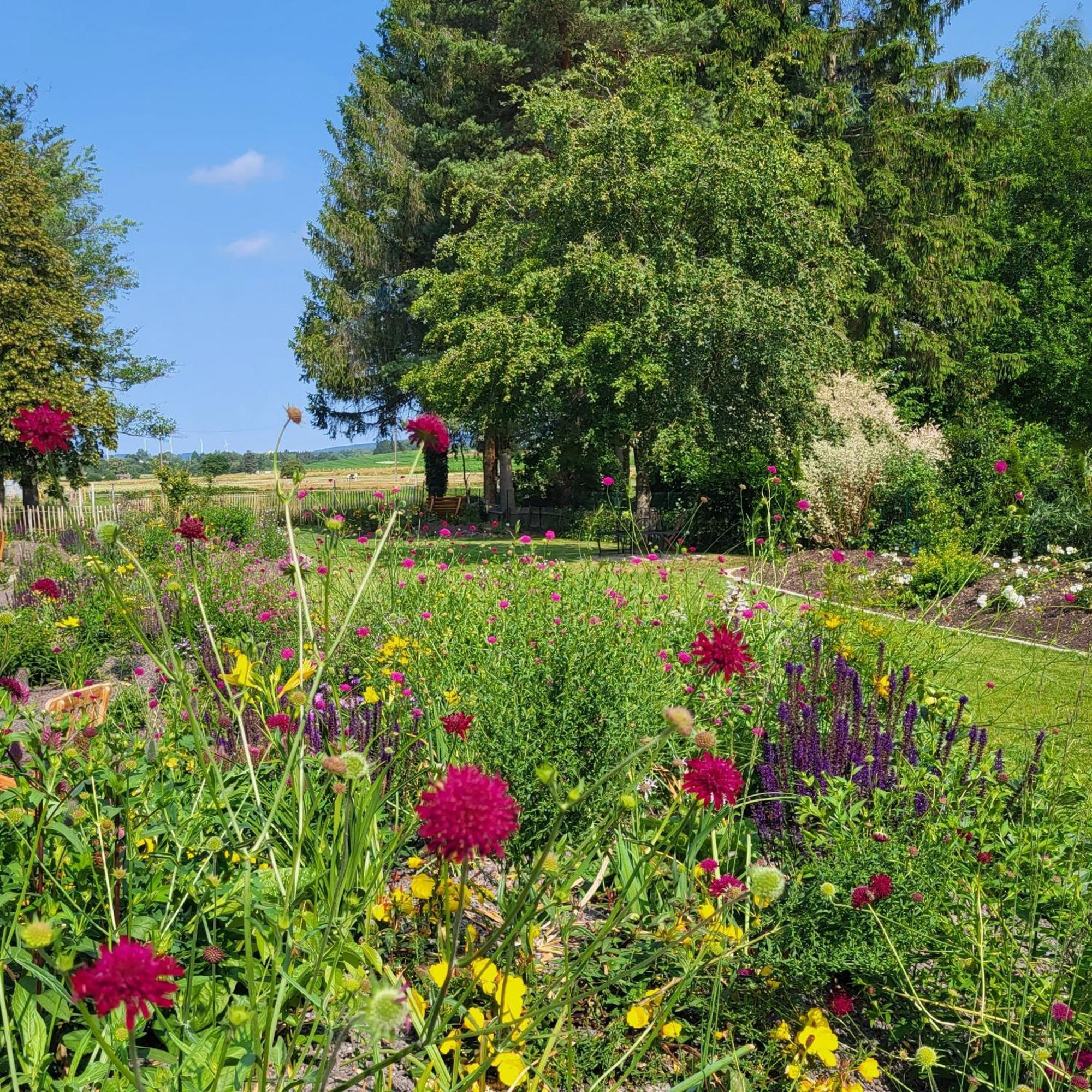 Komfort Ferienwohnungen Mit Wellness-Garten - Gaestehaus Am Bachlauf - Losheim Am See Eksteriør bilde