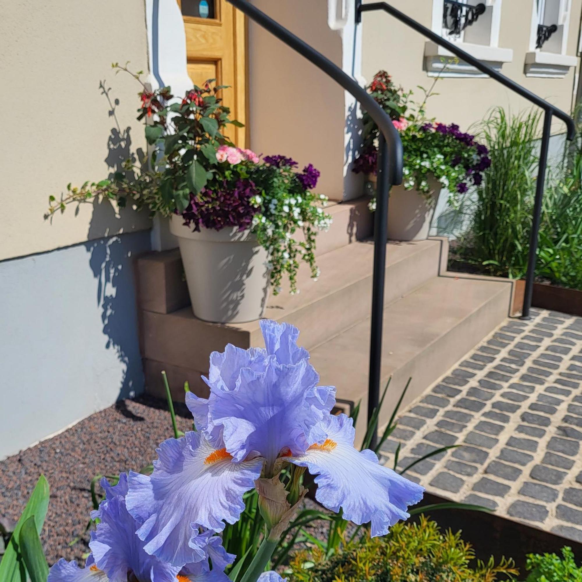Komfort Ferienwohnungen Mit Wellness-Garten - Gaestehaus Am Bachlauf - Losheim Am See Rom bilde